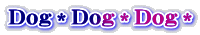 Dog*Dog*Dog*